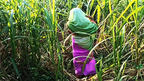 Sweet niece seduced by cousin in sugarcane fields