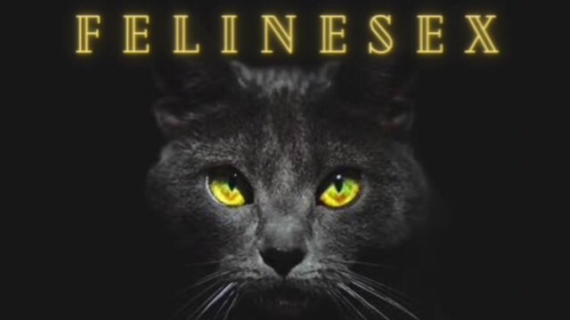 Hot Latina babe gives head on sofa