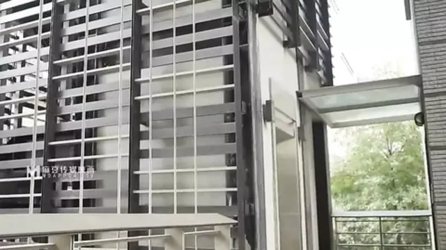 Two Japanese beauties with massive natural tits and big butts get pounded by huge &mdash;  thick dicks