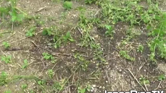 JAPAN PISS TV - Japanese lady finds a secluded place to pee in public space